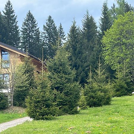 Chalet Bergheimat Wagrain Buitenkant foto